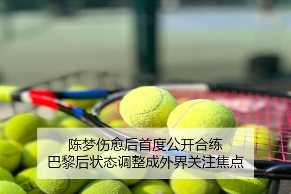 陈梦伤愈后首度公开合练 巴黎后状态调整成外界关注焦点